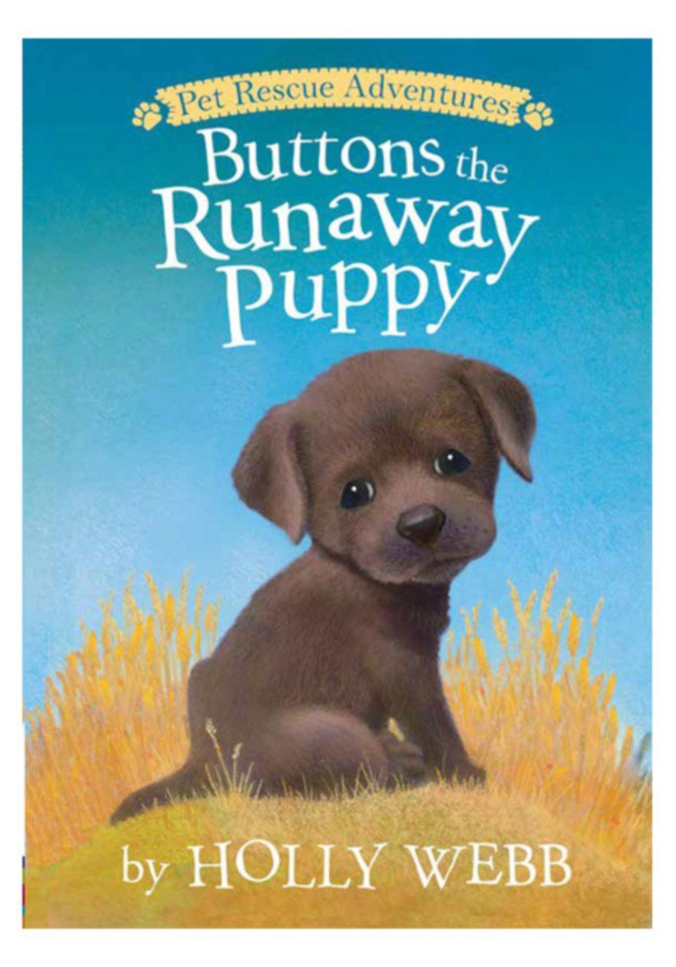 Buttons the Runaway Puppy (Holly Webb, 2017)